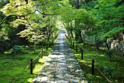 Rokuo-in Temple